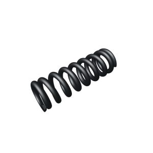 Disassembly Plate Spring CZ P-10 S / C / SC / F